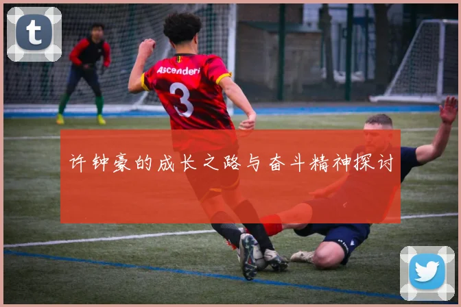 许钟豪的成长之路与奋斗精神探讨